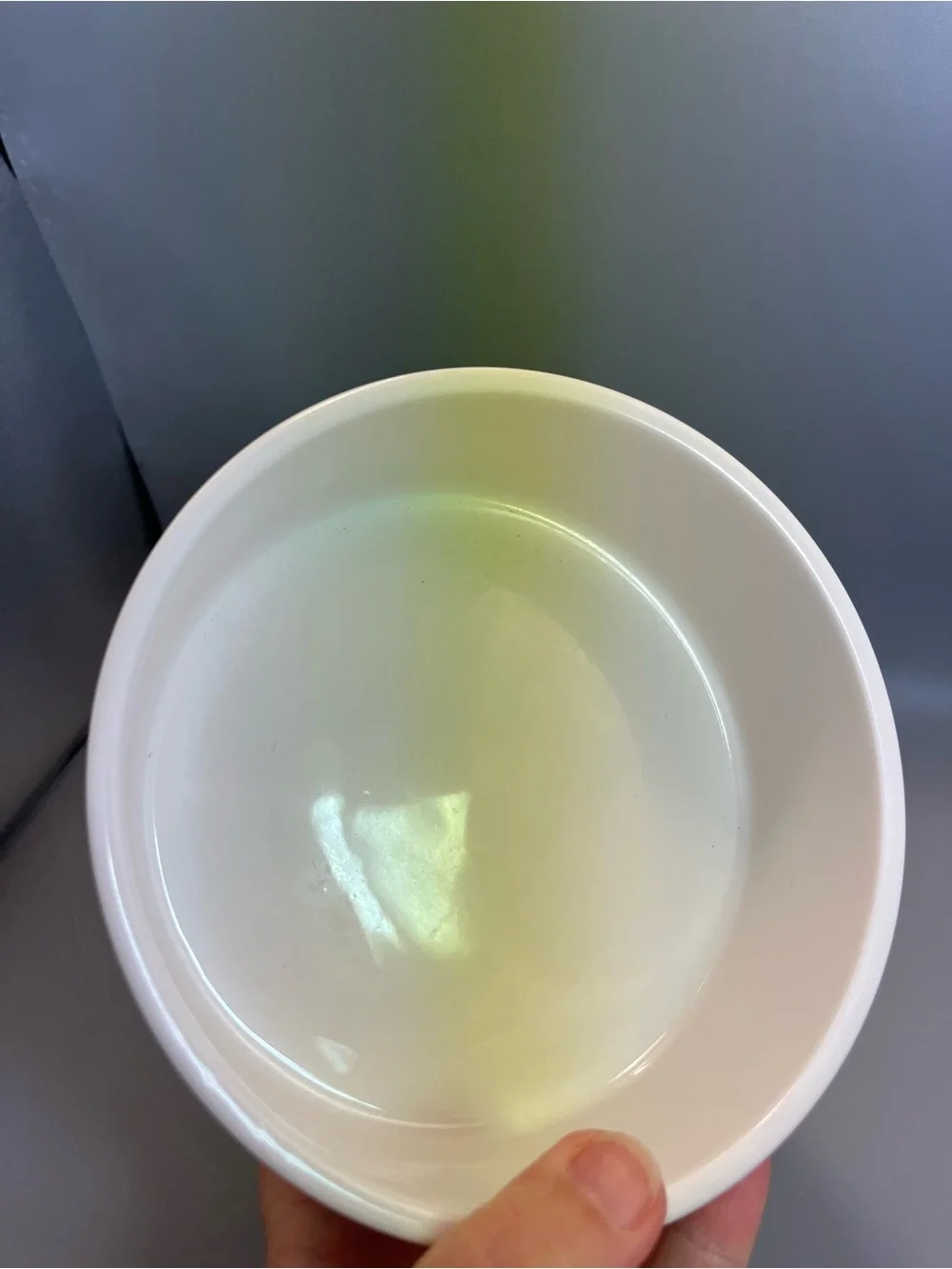 Personalized Heavy Ceramic Dog Bowl For Charley Colorful Cute Paw Prints